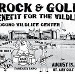 Rock For Wildlife